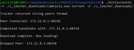 Bittorrent Client